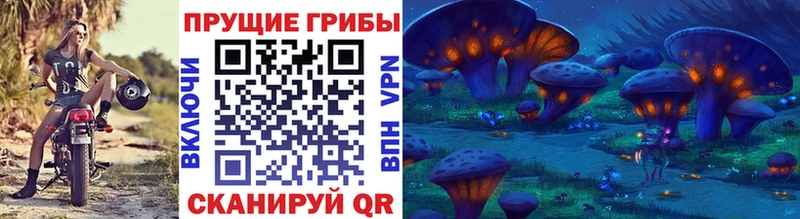 Галлюциногенные грибы MAGIC MUSHROOMS  Купить где  Мещовск 