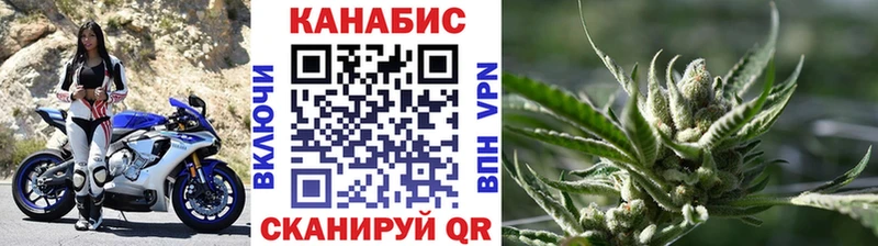 Купить где  Мещовск  Канабис гибрид 